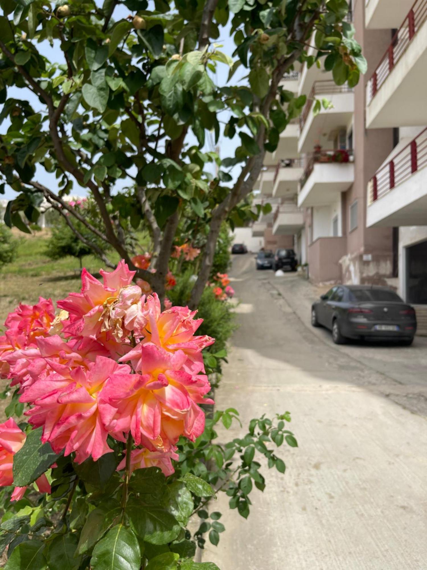 Beach Apartments Durrës 外观 照片